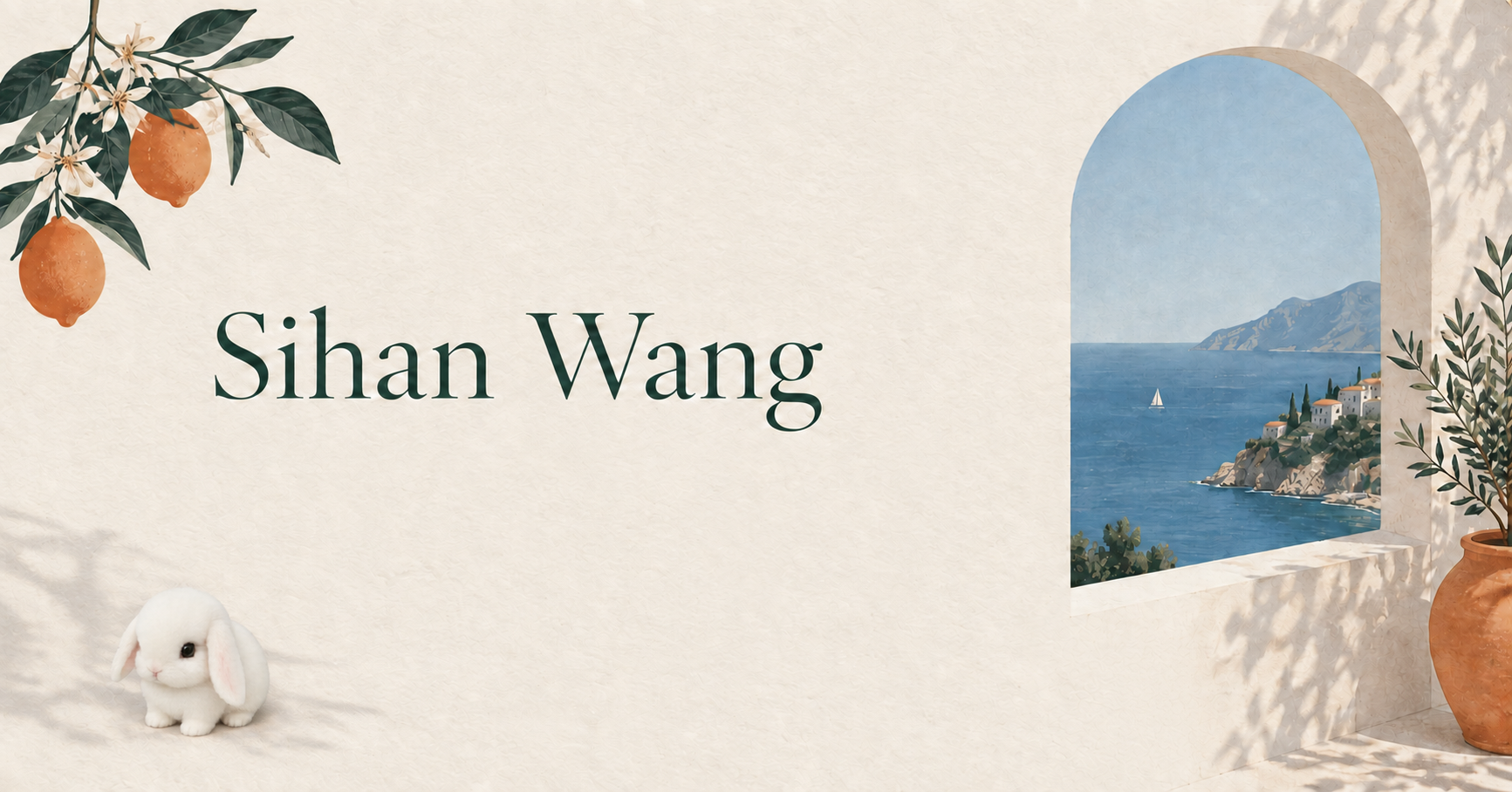 Sihan Wang portfolio cover
